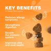 Dog Allergy Immune Chewables 70 Dog Allergy Chews Seasonal Allergies & Hot Spots Support Treats Immune Health Anti Itch Travel Pack