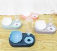 Portable Pet Bowl and Automatic Water Feeder Set, 2 in 1 Food Bowl Dish with Water Dispenser Bottle Tilted - green
