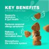 70 Probiotic Chewables for Dogs Probiotic Chews for Dogs with Digestive Enzymes for Seasonal Allergies Coat & Skin Support Travel Pack