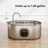 246 oz./7L Stainless Steel Cat Water Fountain with Filters, Ultra-Quiet Pump, for Cats, Dogs & Multi-Pet Homes - Silver