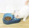 Portable Pet Bowl and Automatic Water Feeder Set, 2 in 1 Food Bowl Dish with Water Dispenser Bottle Tilted - gray