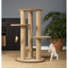Prevue Pet Kitty Power Paws Multi