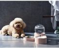 Large Pet Feeder Automatic Drinking Fountain and Food Bowl Pet Water Dispenser with Mouth Separator - pink